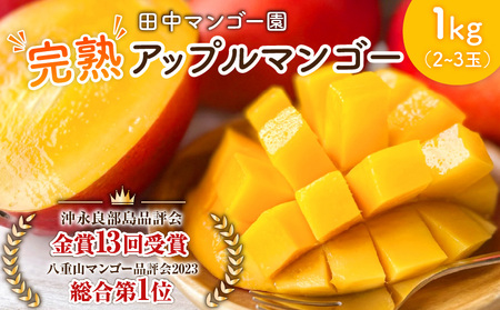 【 2026年 先行予約 】 沖永良部 完熟 アップル マンゴー 2～3玉で1kg W001-009u 果物 マンゴー
