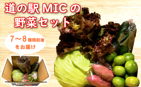 旬の野菜 セット 7,8種類前後 野菜 サラダ 新鮮 葉物 根菜 香味 定番野菜 愛媛 愛南 愛南総研 道の駅MIC