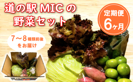 定期便 6回 旬の野菜セット 7-8種類前後 野菜 サラダ 新鮮 葉物 根菜 香味 定番 野菜 愛媛 愛南 野菜 愛南総研 道の駅MIC