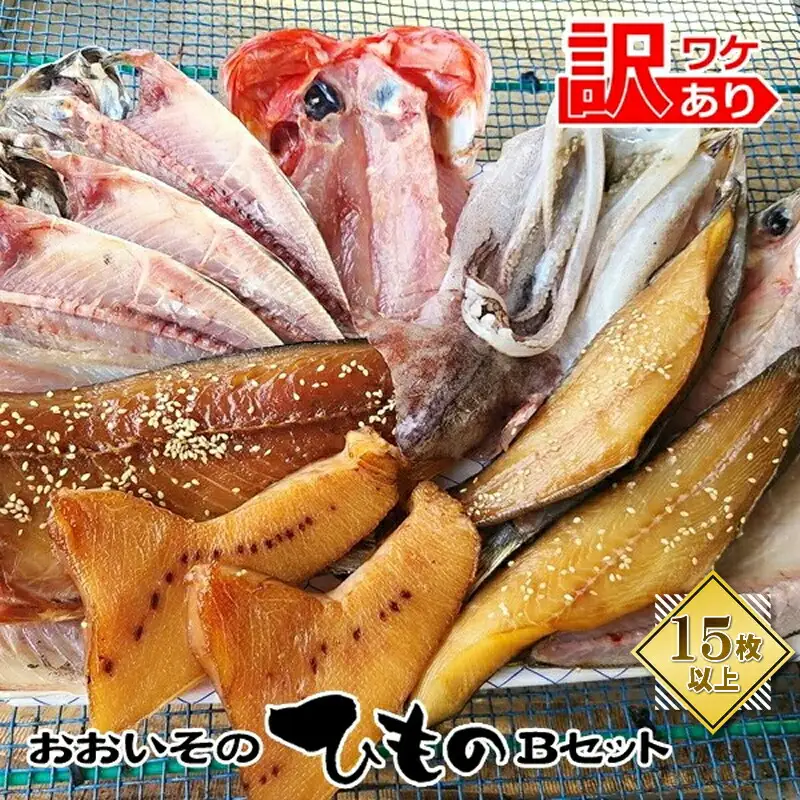 おおいその干物Bセット（15枚以上）／ 季節で変わる旬な訳あり品 【 ひもの 魚 天日干し 神奈川県 大磯 湘南 特産品 神奈川県 大磯町 自家製干物 贈答品 地魚 大磯産 干物 お歳暮・お中元】
