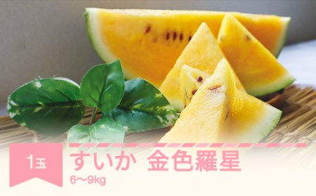【先行予約】すいか 金色羅皇 1玉入り (6~9kg) 令和8年産 2026年産 果物 フルーツ mm-sukrx1 ※沖縄・離島への配送不可
