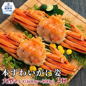 20-324 本ずわいがに姿 大型サイズ2杯 約600～800g
