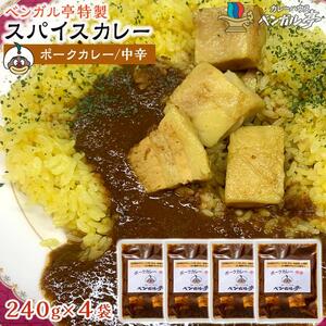 G ベンガル亭特製スパイスカレー！（ポーク・中辛）4袋