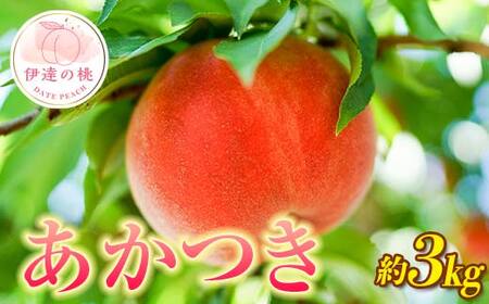 桃 2026年出荷分先行予約】福島県産 あかつき 約3kg (9～12玉) 枝並農園