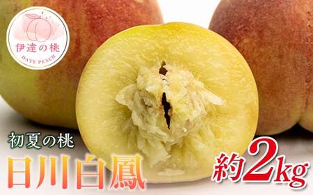 【2026年出荷分先行予約】福島県産 日川白鳳 約2kg (7～10玉) 斎藤果樹園 小玉 伊達の桃 桃 フルーツ 果物 もも モモ momo F21C-023