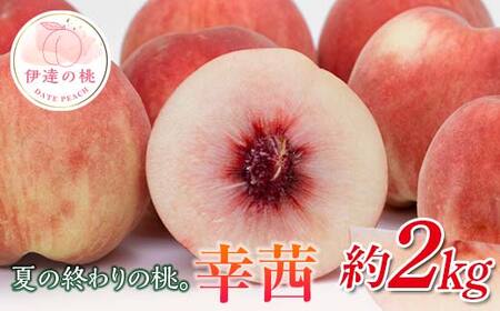 【2026年出荷分先行予約】福島県産 幸茜 約2kg (5～8玉) 斎藤果樹園 さちあかね 大玉 固め 伊達の桃 桃 フルーツ 果物 もも モモ momo F20C-635