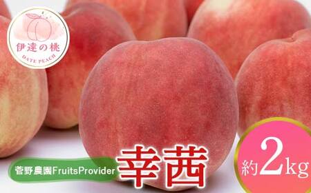 【2026年出荷分先行予約】福島県産 幸茜 約2kg (4～7玉) 菅野農園FruitsProvider さちあかね 大玉 固め 伊達の桃 桃 フルーツ 果物 もも モモ momo F20C-638