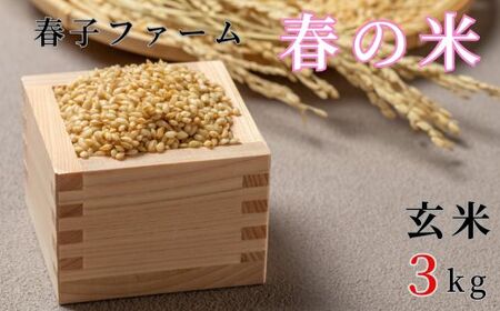 《令和7年産》春の米　玄米　3kg ／ 米 お米 こめ コメ ごはん 無農薬 農薬不使用 春の米 玄米 令和7年産 3kg 千葉県 東庄町 春子ファーム 産地直送 産直 送料無料