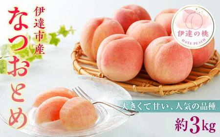 【2026年出荷分先行予約】福島県産 なつおとめ 約3kg (9～16玉) 有限会社伊達水蜜園 新品種 大玉 伊達の桃 桃 フルーツ 果物 もも モモ momo F20C-349