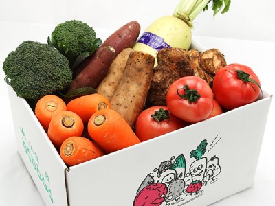 季節の採れたて野菜の詰め合わせ 新鮮野菜 詰め合わせ 那珂市産 茨城県産 国産 旬野菜 セット 新鮮 野菜セット 野菜 野菜BOX 旬 厳選 食材 産地直送 お取り寄せ グルメ 季節 野菜詰合わせ おまかせ