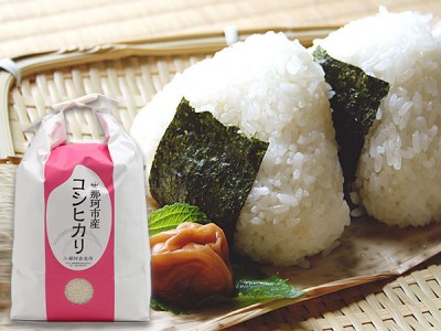 那珂市のお米（今摺米）コシヒカリ５kg（令和7年度米）