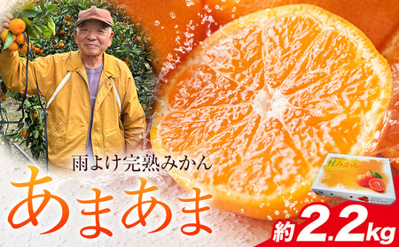 雨よけ完熟みかん あまあま 約2.2kg みかん