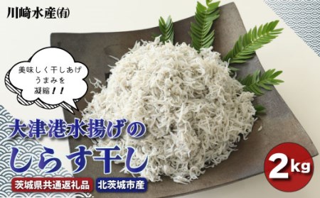 大津港水揚げ しらす干し 2kg 茨城県共通返礼品 北茨城市 しらす しらす丼 国内 北茨城市 水揚げ 新鮮 シラス 海鮮 冷凍 子ども カルシウム 減塩