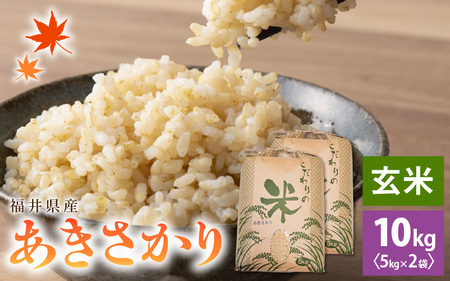 令和7年産 あきさかり 10kg 福井県産 コシヒカリ系統品種【玄米】 [e30-b018]