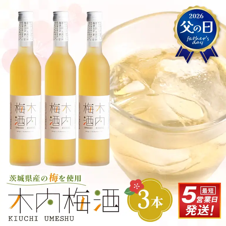 梅酒 木内梅酒 3本セット 500ml×3本 父の日 まだ間に合う 果実酒 ウメ 人気 お土産 ギフト フルーティー 内祝い ご褒美 国産 紀州南高梅使用 お歳暮 お歳暮ギフト プレゼント お中元 敬老の日 うめ酒 梅酒 酒 アルコール 梅 常温 常温保存 