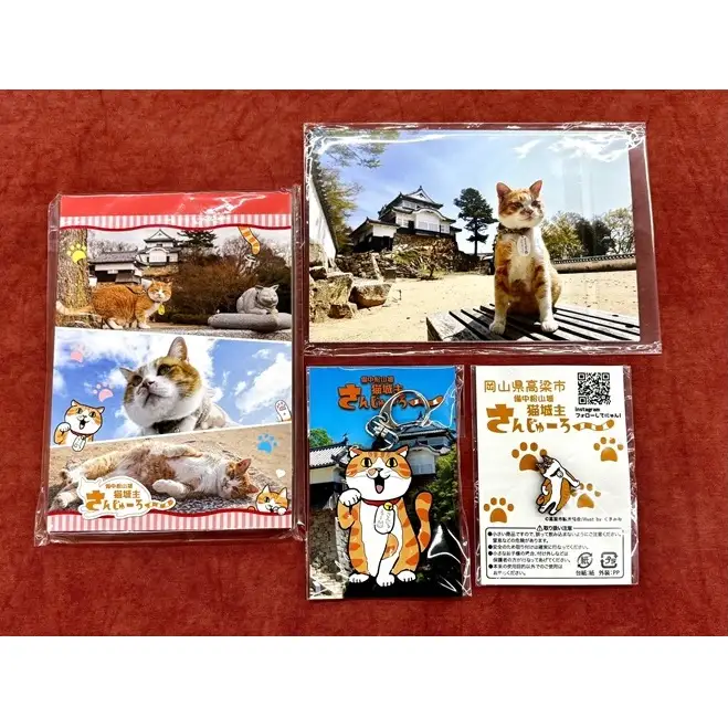 さんじゅーろーグッズセット 雑貨 文房具 小物 詰め合わせ ネコ 実写 猫城主 ポストカード メモ帳 A6 サイズ ピンバッヂ ラバー キーホルダー 