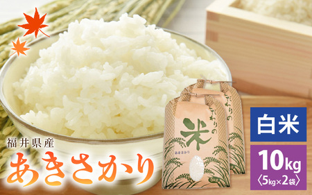 令和7年産 あきさかり 10kg 福井県産 コシヒカリ系統品種【白米】 [e30-b013]