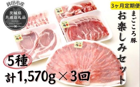 3ヶ月定期便 まごころ豚 1570g×3回 お楽しみセット ブランド豚 銘柄豚 茨城県 鉾田市産 5種類 茨城県産 国産 最高級 セット モモ 肩ロース バラ肉 ロース厚切り肉 コマ肉 総重量 しゃぶしゃぶ 生姜焼き 焼肉 モモ肉 ロース厚切り