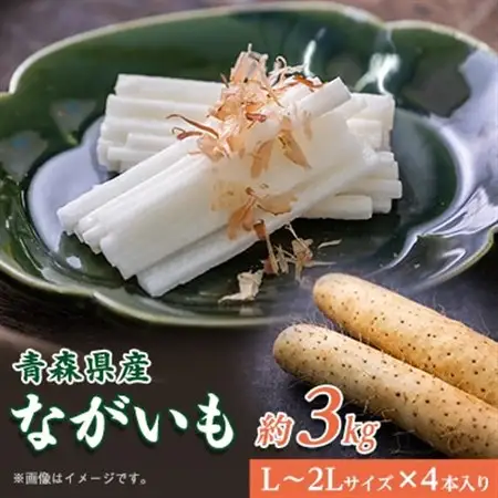 青森県産「ながいも」約3kg(L～2Lサイズ)×4本入り)_野菜  いも イモ 芋_【1338374】
