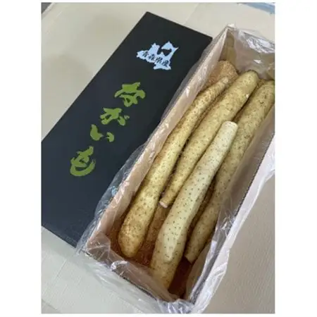 青森県産「ながいも」約5kg(3L～4Lサイズ×4本入り)_野菜  いも イモ 芋_【1338390】