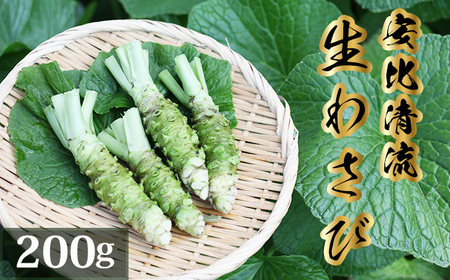 岩手県産 生わさび 200g 【安比清流山葵園】 ／ 山葵 ワサビ わさび 薬味 国産 八幡平市産 産地直送 新鮮 調味料 刺身 ステーキ お肉 蕎麦 和え物 漬け物 刻み おろし 辛味 和食 お寿司 そば 肉の薬味 魚の薬味 そばの薬味 料理 おすすめ オススメ