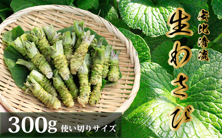 岩手県産 生わさび 使い切りサイズ 300g 【安比清流山葵園】 ／ 山葵 ワサビ わさび 薬味 国産 八幡平市産 産地直送 新鮮 調味料 刺身 蕎麦 和え物 漬け物 刻み おろし 辛味 お寿司 そば 肉の薬味 魚の薬味 そばの薬味 おすすめ オススメ