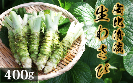 岩手県産 生わさび 400g 【安比清流山葵園】 ／ 山葵 ワサビ わさび 薬味 国産 八幡平市産 産地直送 新鮮 調味料 刺身 ステーキ お肉 蕎麦 和え物 漬け物 刻み おろし 辛味 和食 お寿司 そば 肉の薬味 魚の薬味 そばの薬味 料理 おすすめ オススメ
