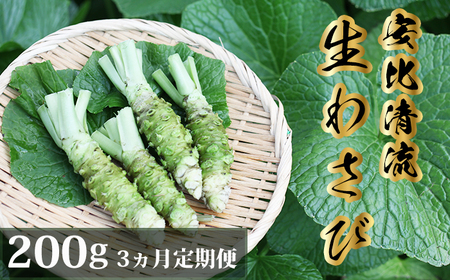  岩手県産 生わさび 200g 定期便3ヶ月【安比清流山葵園】 ／ 山葵 ワサビ わさび 薬味 国産 八幡平市産 産地直送 新鮮 調味料 お肉 蕎麦 和え物 漬け物 刻み おろし 辛味 お寿司 そば 肉の薬味 魚の薬味 そばの薬味 おすすめ オススメ