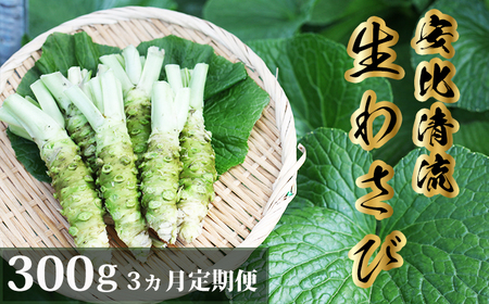 岩手県産 生わさび 300g 定期便3ヶ月 【安比清流山葵園】 ／ 山葵 ワサビ わさび 薬味 国産 八幡平市産 産地直送 新鮮 調味料 お肉 蕎麦 和え物 漬け物 刻み おろし 辛味 お寿司 そば 肉の薬味 魚の薬味 そばの薬味 おすすめ オススメ