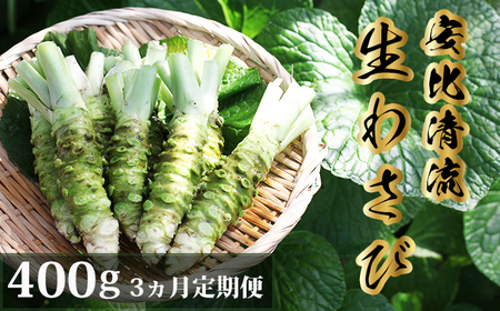 岩手県産 生わさび 400g 定期便3ヶ月 【安比清流山葵園】 ／ 山葵 ワサビ わさび 薬味 国産 八幡平市産 産地直送 新鮮 調味料 お肉 蕎麦 和え物 漬け物 刻み おろし 辛味 お寿司 そば 肉の薬味 魚の薬味 そばの薬味 おすすめ オススメ