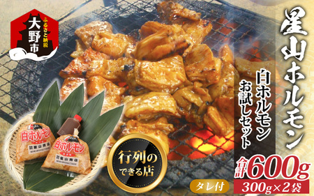  星山のホルモン (白) 300g × 2袋 ホルモン 焼肉 BBQ