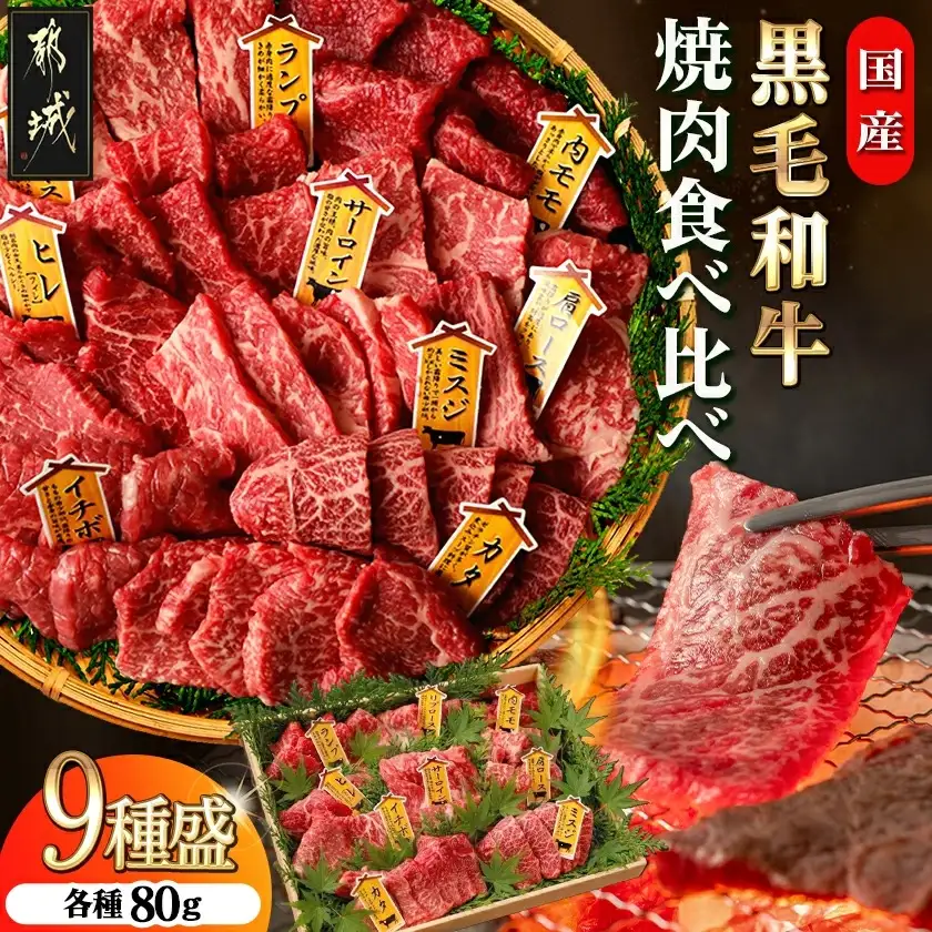 【国産黒毛和牛】焼肉食べ比べ 9種盛 各種80g〔AE-E902〕_(都城市) 牛肉