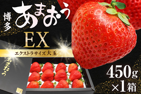 【先行予約】1月より順次発送！「博多あまおう」EX　贈答用化粧箱　約450g 1箱【ほたるの里】_HA0752