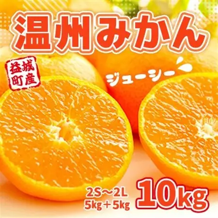 益城町産　温州みかん　約10kg【1352229】