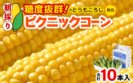 【先行予約】朝採り ピクニックコーン 黄色 10本入《生でも食べれる！希少品》 ／ 野菜 とうもろこし スイートコーン ※2026年6月上旬以降順次発送 [aw028-a007]