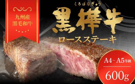 ステーキ 牛肉  BBQ 計600g 200g×3枚