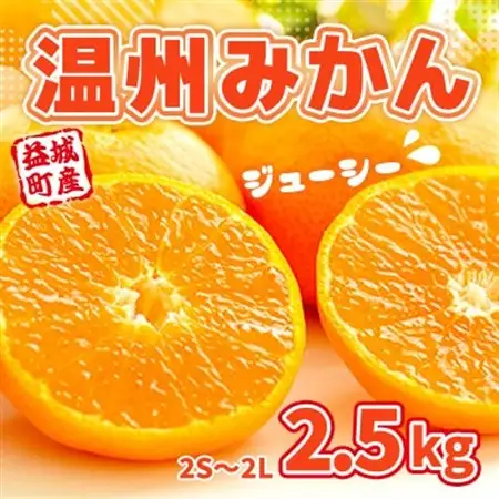 益城町産　温州みかん　約2.5kg【1352234】