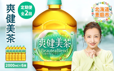 『定期便：全2回』爽健美茶2L×6本【38001902】