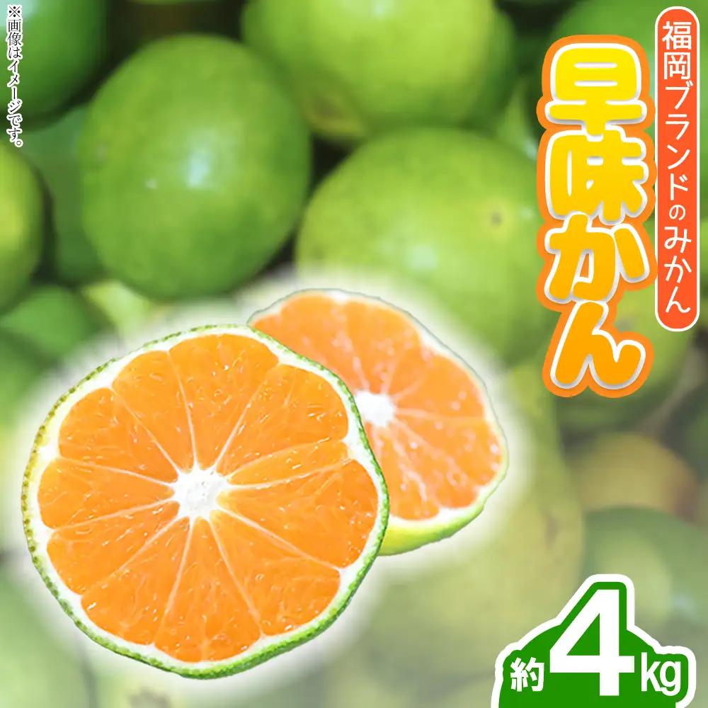 福岡ブランドみかん・早味かん約4kg 3V17