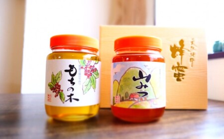 はちみつ 福岡県 特産 天然 国産 純はちみつ 各1kg もちのき＆やまみつ ハチミツ 蜂蜜 