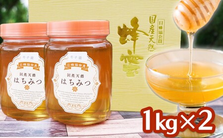 はちみつ 2kg (1kg×2) 非加熱 国産 天然 純はちみつ もちの木 蜂蜜 ハチミツ 天然蜂蜜 天然はちみつ 国産はちみつ 国産蜂蜜 無添加 無加工 非加熱はちみつ 非加熱蜂蜜 瓶詰め 福岡 福岡県 小郡市