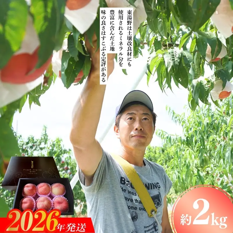 No.2293特選福島・東湯野のもも約2kg【2026年発送 先行予約】