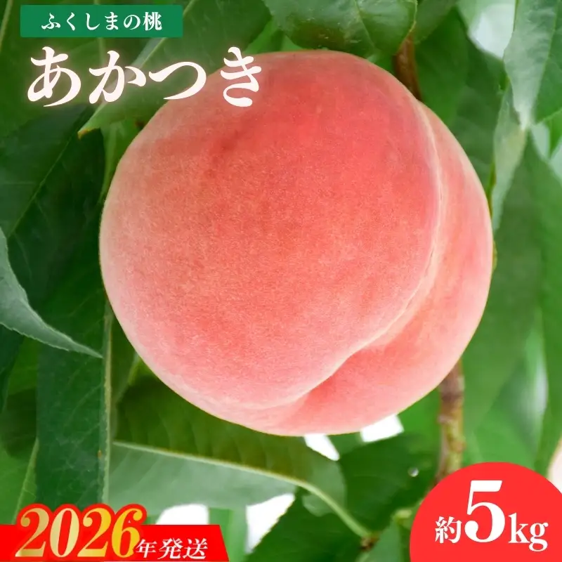 No.2296福島のもも「あかつき」約5kg【2026年発送 先行予約】