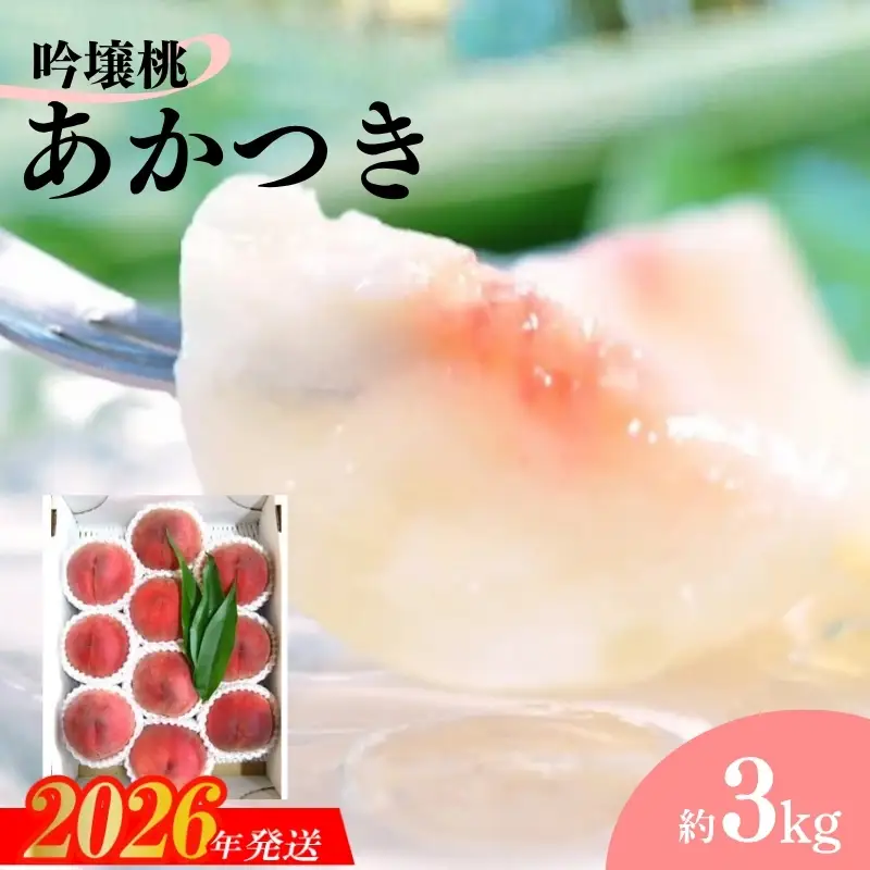 No.2320【限定100箱】吟壌桃「あかつき」約3kg【2026年発送】
