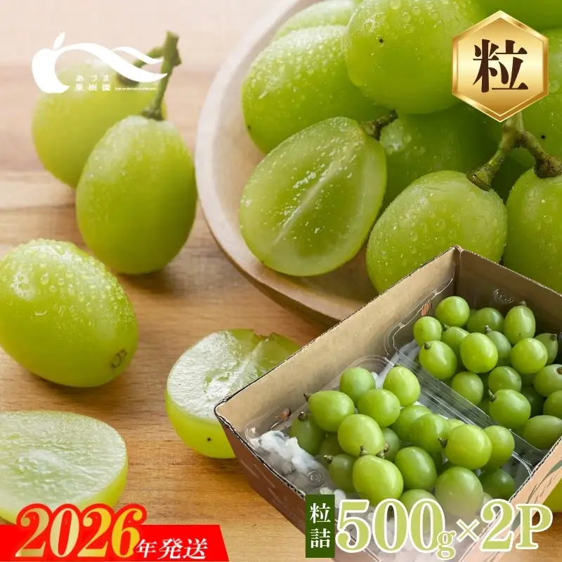 No.2329シャインマスカット粒詰2パック入　約1kg【2026年発送】