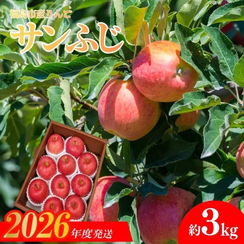 No.2357 共同有限会社　りんご「サンふじ」約3kg【2026年度発送】