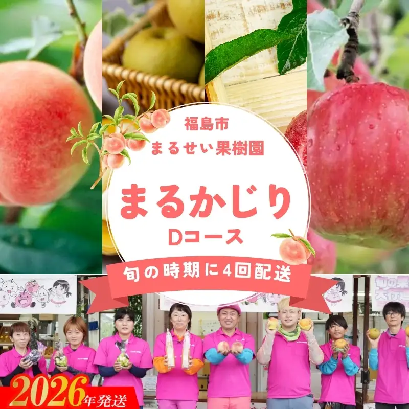 No.2364まるせい果樹園 【定期便4回】まるかじりDコース【2026年発送】