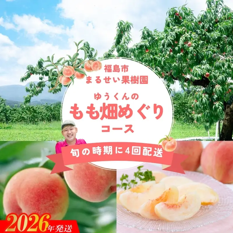 No.2365まるせい果樹園 【定期便4回】ゆうくんのもも畑めぐりコース【2026年発送】