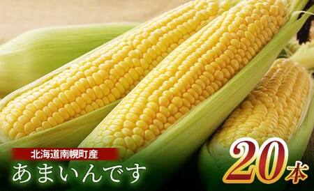 北海道産 とうもろこし 令和8年発送 あまいんです20本 南幌町 NP1-173