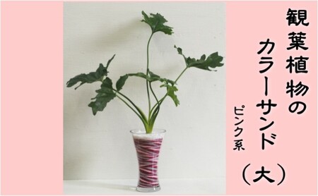 カラーサンド（ガラス花器：大）ピンク系 植物 インテリア 飾り 緑 グリーン 部屋 玄関 グリーンインテリア アート感覚 寄せ植え 1点もの 